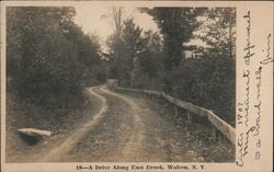 A Drive Along East Brook, Walton, NY Postcard