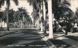 Royal Palm Way, Palm Beach, FL Florida Postcard Postcard Postcard