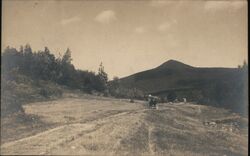 Horse-drawn carriage on dirt road to mountain Postcard