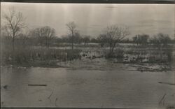 Elkhorn River, Flooded, April 3, 1911 Postcard