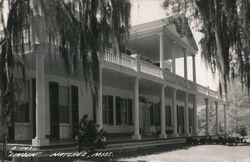 Linden, Natchez, Mississippi Postcard