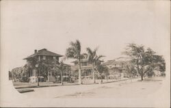 Tropical bungalows with palm trees Postcard