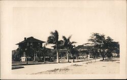 Real Photo Postcard of Buildings and Palm Trees Honolulu, HI Postcard Postcard