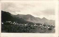 Group of Soldiers at Kamananui  Range C.A.C. Honolulu, HI Postcard Postcard Postcard