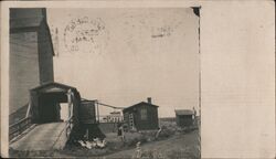 Farm Scene with Geese Ringsted, IA Occupational Postcard Postcard Postcard