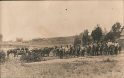 Group of Men with Horse Drawn Carts Postcard