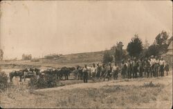 Group of Men with Horse-drawn Carts Postcard