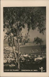 Ensenada, B.C. Mexico - A Ojo de Pajaro (Bird's Eye View) Postcard