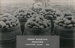 Green Mountain Potatoes, Limestone, Maine Postcard