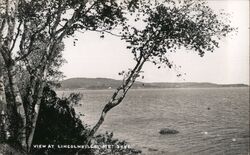 View at Lincolnville, ME Maine Postcard Postcard Postcard