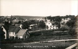 Machias River, Machias, ME Postcard