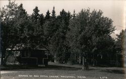 Red Apple Cabins, Machias, Maine Postcard Postcard Postcard