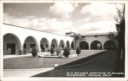 W.K. Kellogg Institute of Animal Husbandry, Pomona, CA California Postcard Postcard Postcard