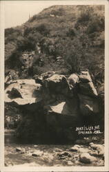 Matilija Hot Springs, California Postcard