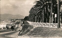 Along the Palisades - Roosevelt Highway - Santa Monica Calif Postcard