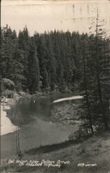 Eel River near Nelson Grove on Redwood Highway Postcard