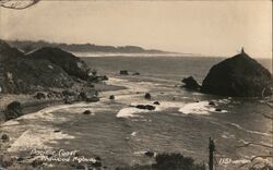 Pacific Coast Redwood Highway Coastal View Postcard