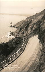 On the Redwood Highway, 1000 ft Above the Sea California Postcard Postcard Postcard