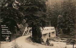 Redwood Highway Bridge near Lanes Redwood Flat Postcard