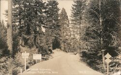 Redwood Highway, Oregon-California Line Postcard