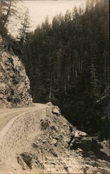 On Redwood Hwy. Between Grants Pass and Crescent City Postcard