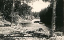 Eel River, Redwood Highway California Postcard Postcard Postcard