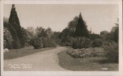 Fuller Park, Napa, California Postcard Postcard Postcard