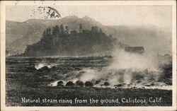 Natural steam rising, Calistoga, Calif California Postcard Postcard Postcard