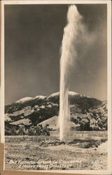 Old Faithful Geyser of California, 2 Miles from Calistoga Postcard Postcard Postcard