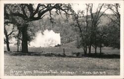 Calistoga Geyser from Silverado Trail California Postcard Postcard Postcard