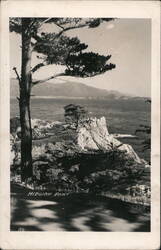 Midway Point, California Coastline Carmel, CA Postcard Postcard Postcard