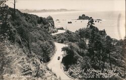 Redwood Highway, Pacific Ocean Shore, Humboldt Co., Calif. California Postcard Postcard Postcard