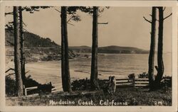 Mendocino Coast, California Postcard