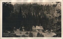 Miami Lodge, California Yosemite Valley, CA Postcard Postcard Postcard