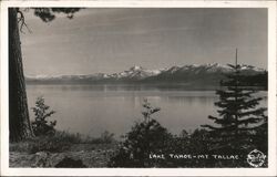 Lake Tahoe - Mt Tallac Postcard