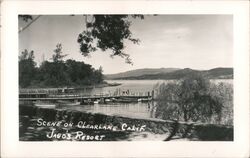 Scene on Clearlake, Jago's Resort California Postcard Postcard Postcard