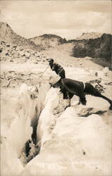 Crevasses, Palisade Glacier, Big Pine Postcard