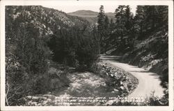 State Highway and Walker River, California Postcard