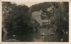 Man Canoeing on the Benbow Redwood Highway California Postcard Postcard Postcard