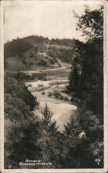 Redwood Highway View Postcard