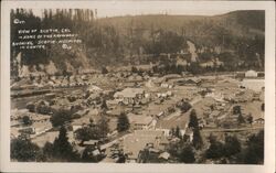 Scotia, CA - View Home of the Redwood - Showing Scotia Hospital Postcard