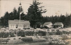 Azalea Lodge, Crescent City, CA Postcard