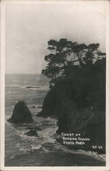 Coast at Russian Gulch State Park Postcard