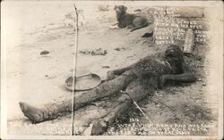 Mexico Border War - Dog with His Dead Master Cal Osbon Postcard Postcard Postcard