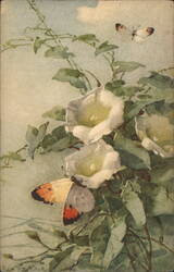 Butterflies and White Flowers C. Klein Postcard Postcard Postcard