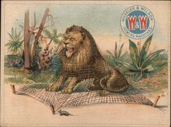 Lion in a Net, The Lion and the Mouse Fable, Wheeler & Wilson Trade Card