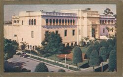 Museum of Natural History, near Eastern entrance, Balboa Park, San Diego Postcard