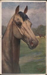 Horse Head Study, Bay Horse in Background Horses Postcard Postcard Postcard