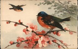 Two Birds on a Flowering Branch Postcard