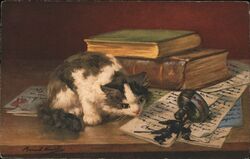 Kitten with Spilled Ink, Books, Letters Postcard